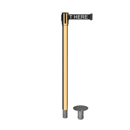 MONTOUR LINE Retractable Belt Removable Stanchion, 2ft Pol.Brass Post  7.5ft Wait MX530R-PB-PLEAWBW-75